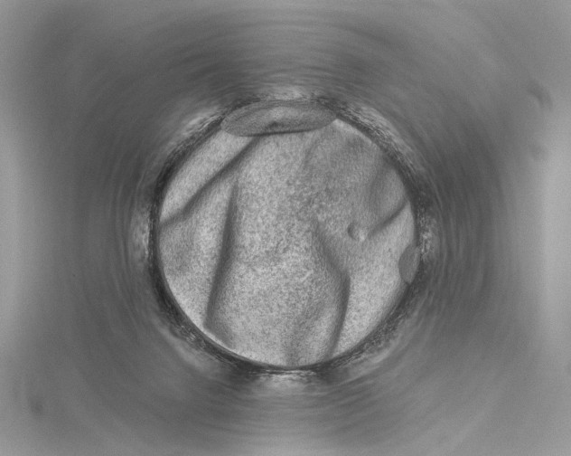 X0000115550072200912041041