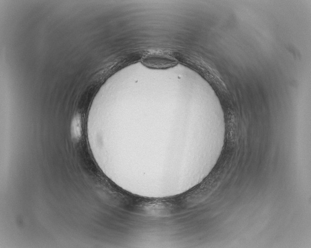 X0000115550075200912041041