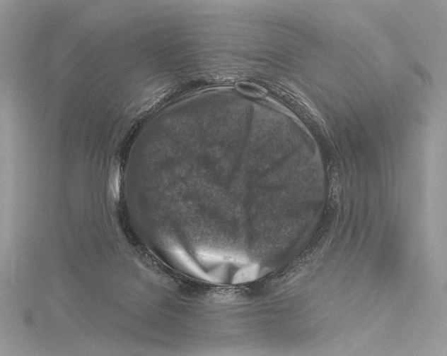 X0000115550076200912041041