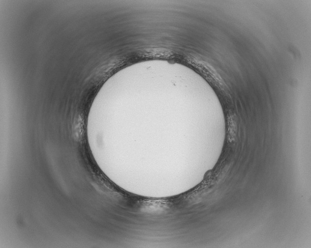 X0000115550077200912041041