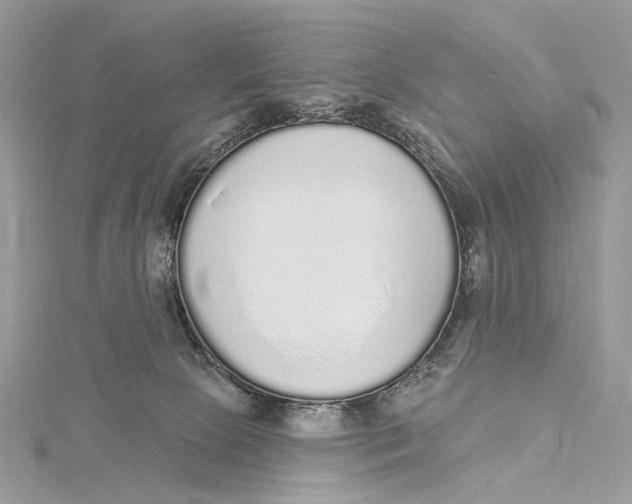 X0000115550081200912041041