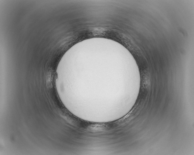 X0000115550082200912041041