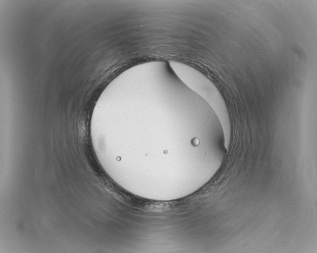 X0000115550084200912041041