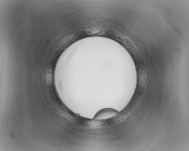 X0000115550085200912041041