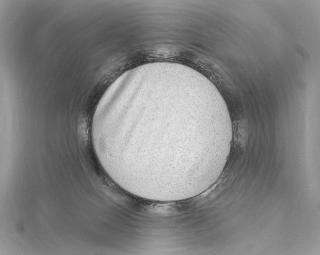 X0000115550086200912041041