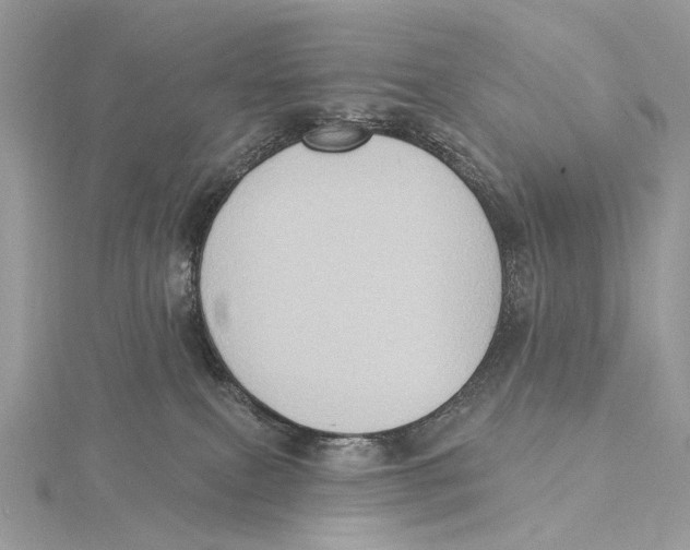 X0000115550087200912041041