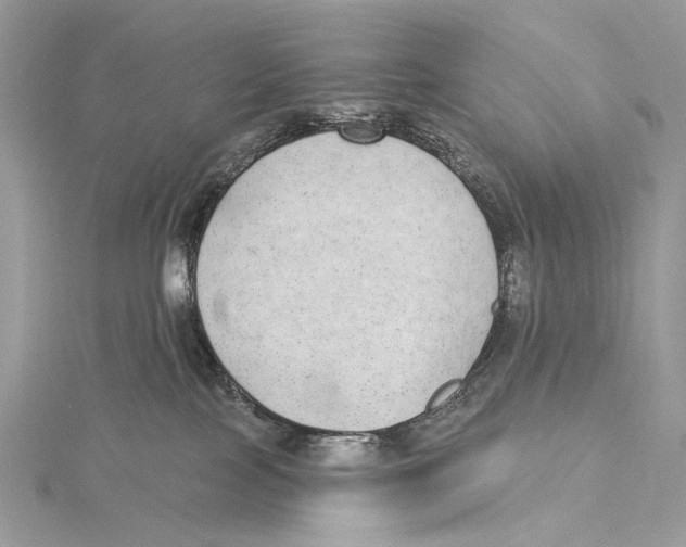 X0000115550089200912041041