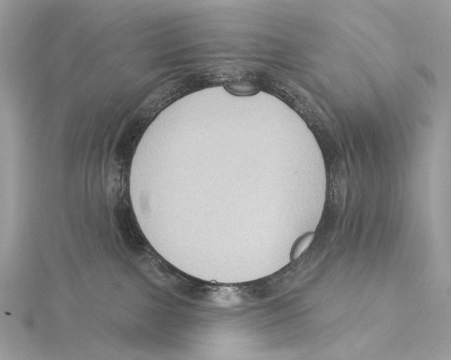 X0000115550091200912041041