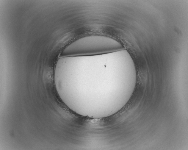 X0000115550092200912041041