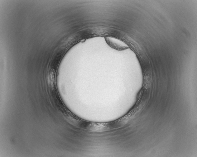 X0000115550093200912041041