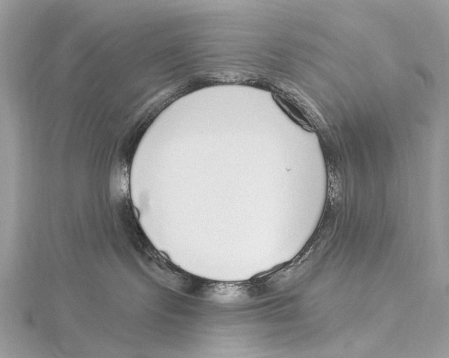 X0000115550095200912041041