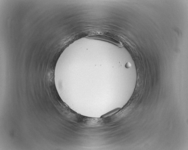 X0000115550096200912041041