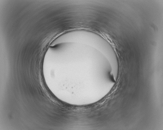 X0000115550097200912041040