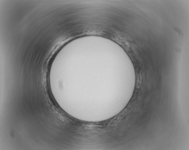 X0000115550098200912041040