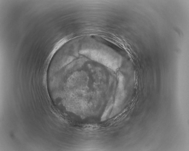 X0000115550099200912041040