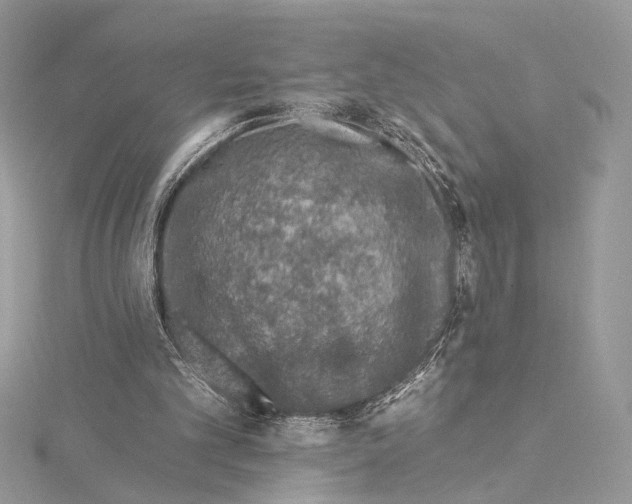 X0000115550101200912041040