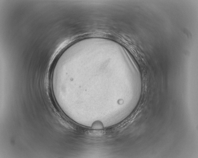 X0000115550102200912041040