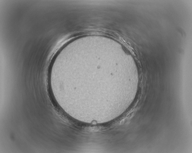 X0000115550103200912041040