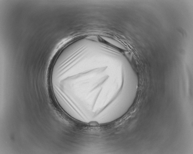 X0000115550104200912041040