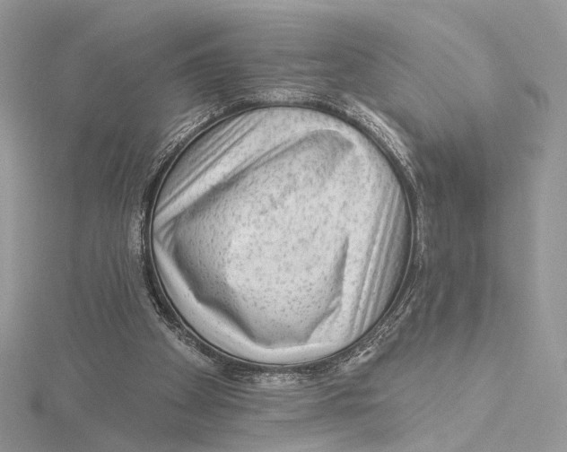 X0000115550105200912041040