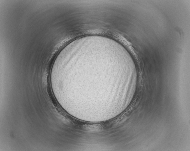 X0000115550106200912041040