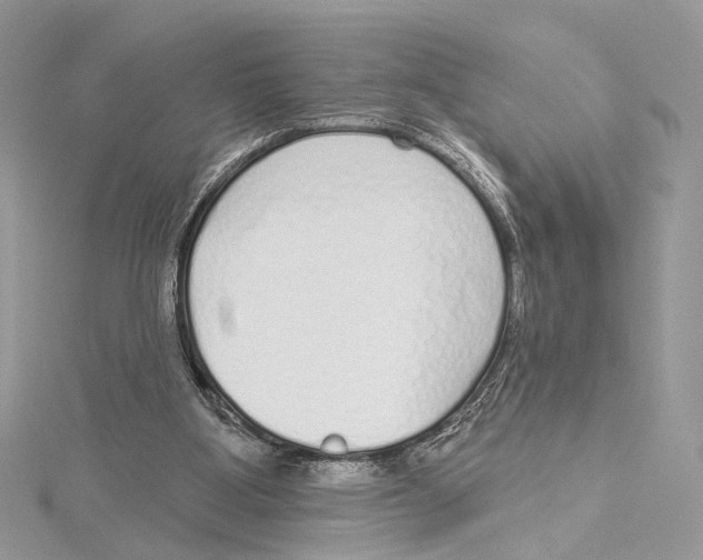 X0000115550107200912041040