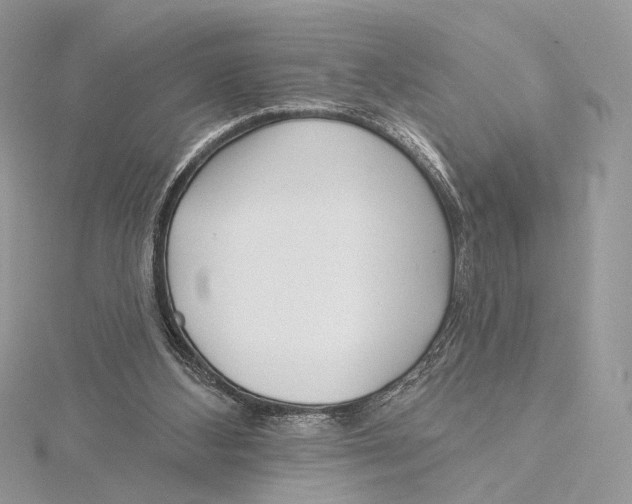 X0000115550108200912041040