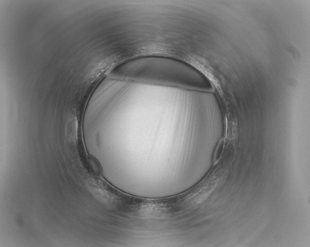 X0000115550109200912041040