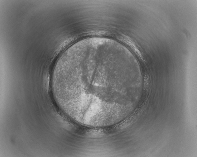 X0000115550110200912041040