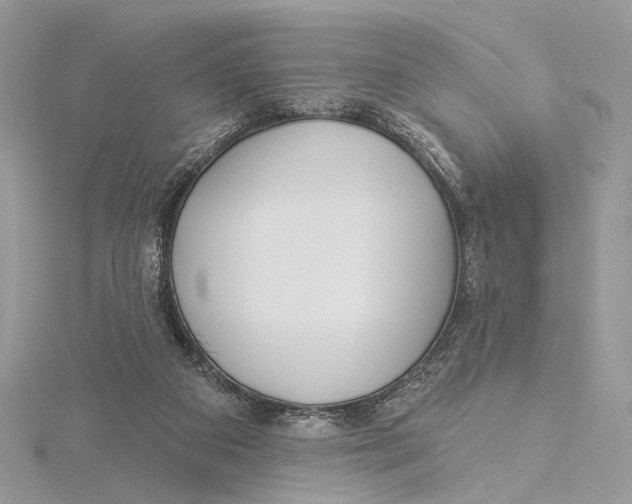 X0000115550113200912041040