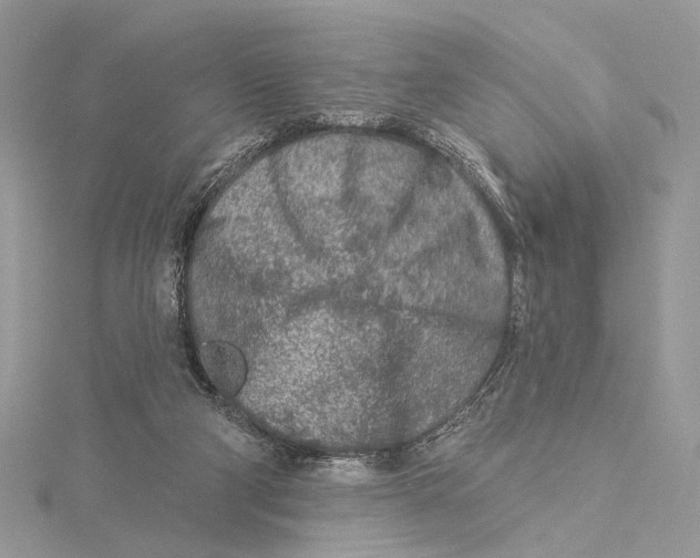 X0000115550114200912041040