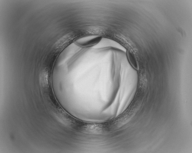 X0000115550117200912041040