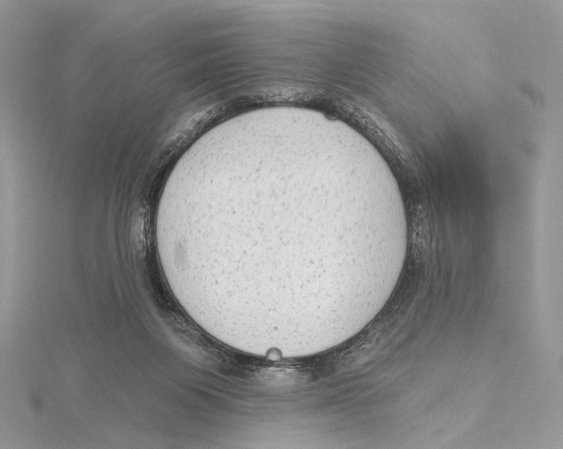 X0000115550119200912041040