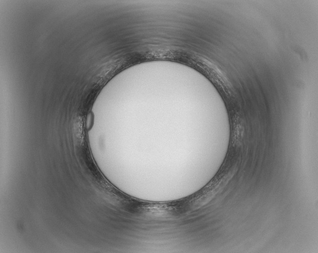 X0000115550121200912041040