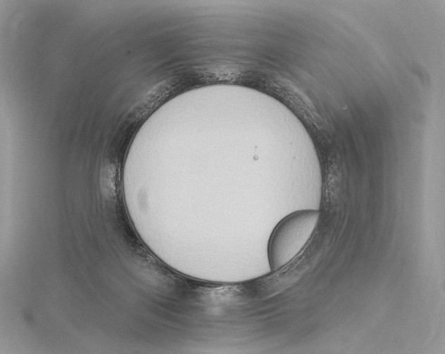 X0000115550122200912041040