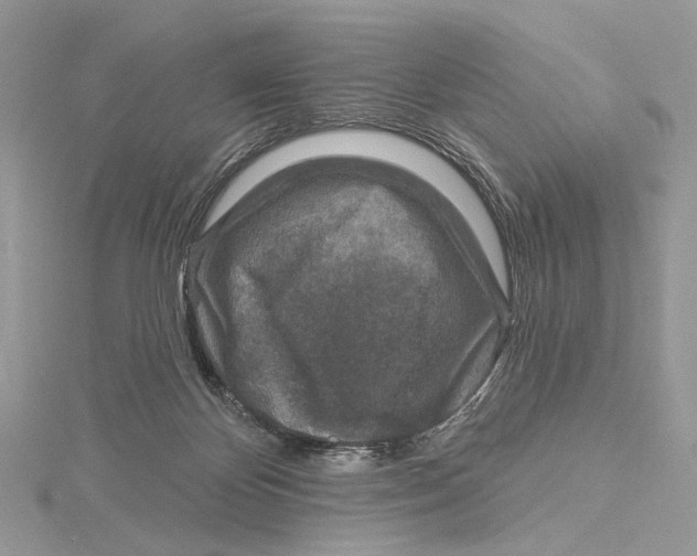 X0000115550124200912041040