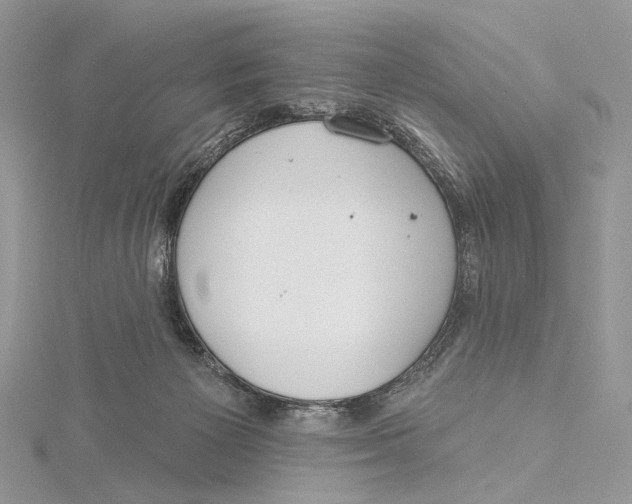 X0000115550125200912041040