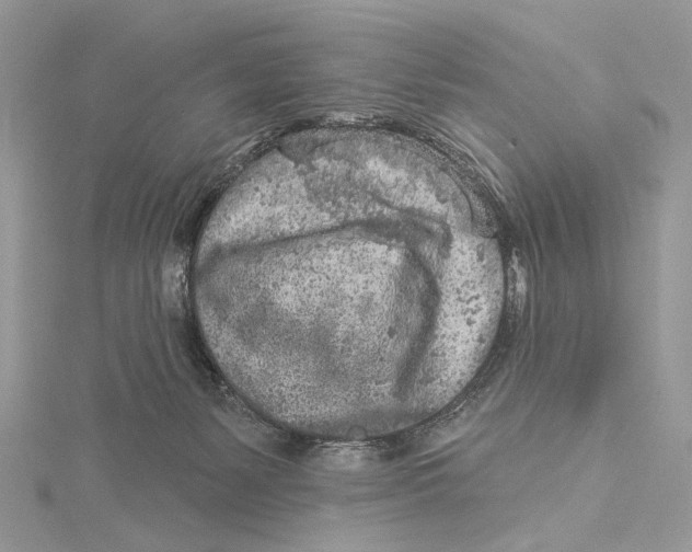 X0000115550127200912041040