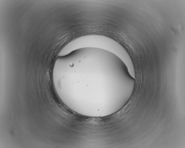 X0000115550128200912041040