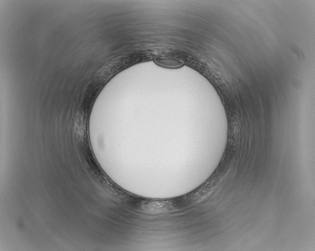 X0000115550129200912041040