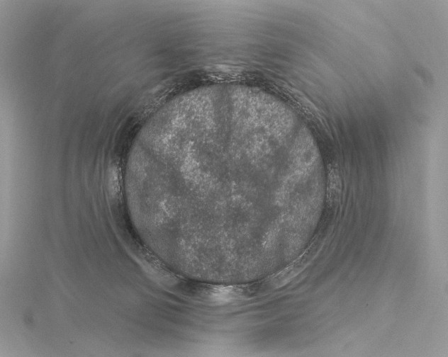 X0000115550130200912041040