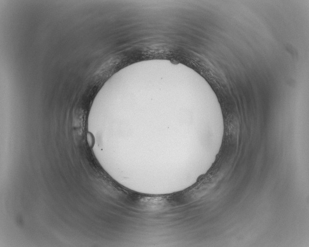 X0000115550133200912041040