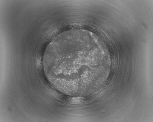 X0000115550134200912041040