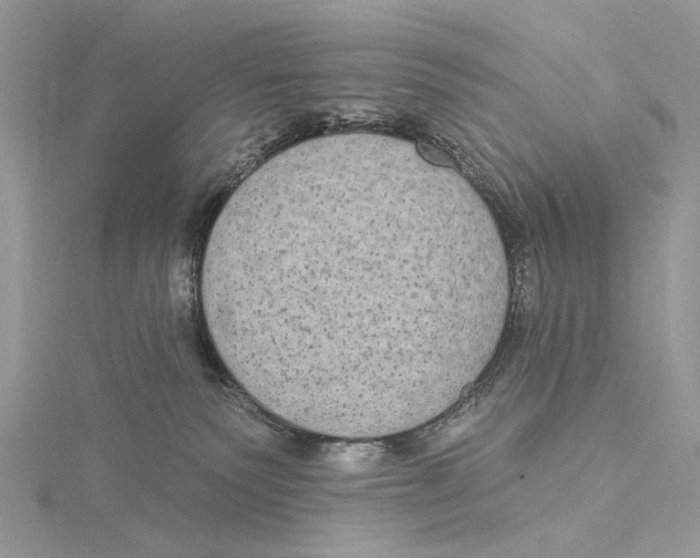 X0000115550135200912041040