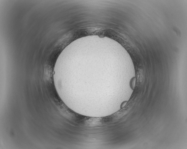 X0000115550138200912041040