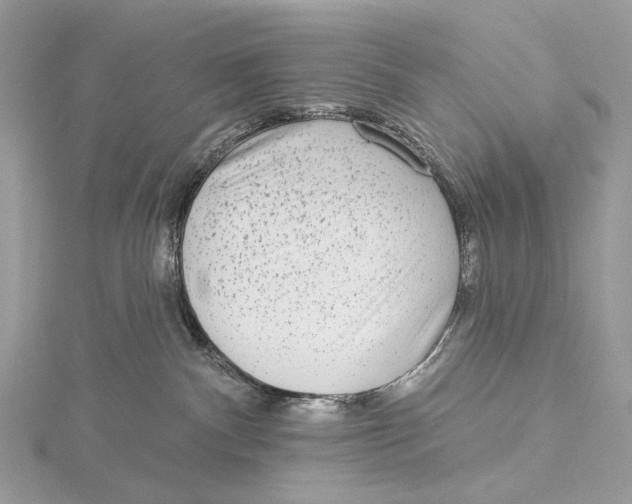 X0000115550140200912041039