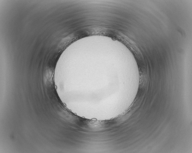 X0000115550142200912041039