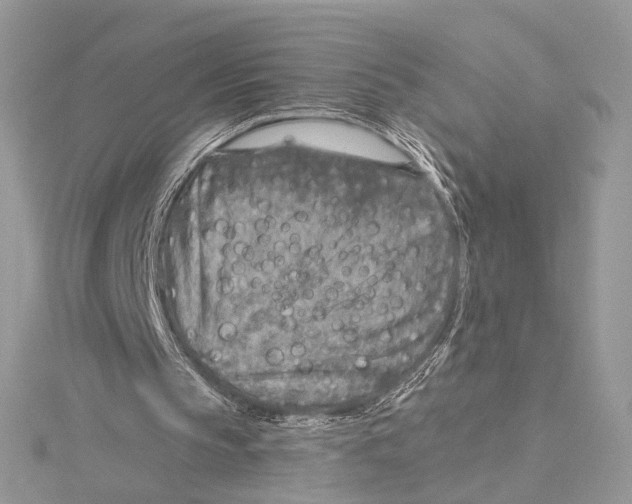 X0000115550145200912041039