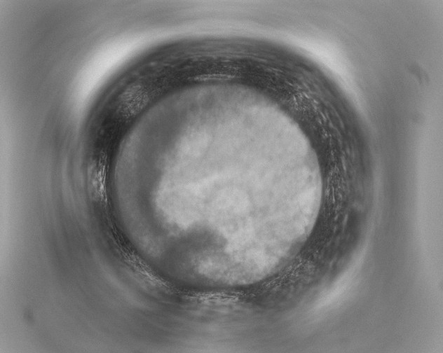 X0000115550146200912041039