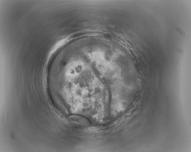 X0000115550149200912041039